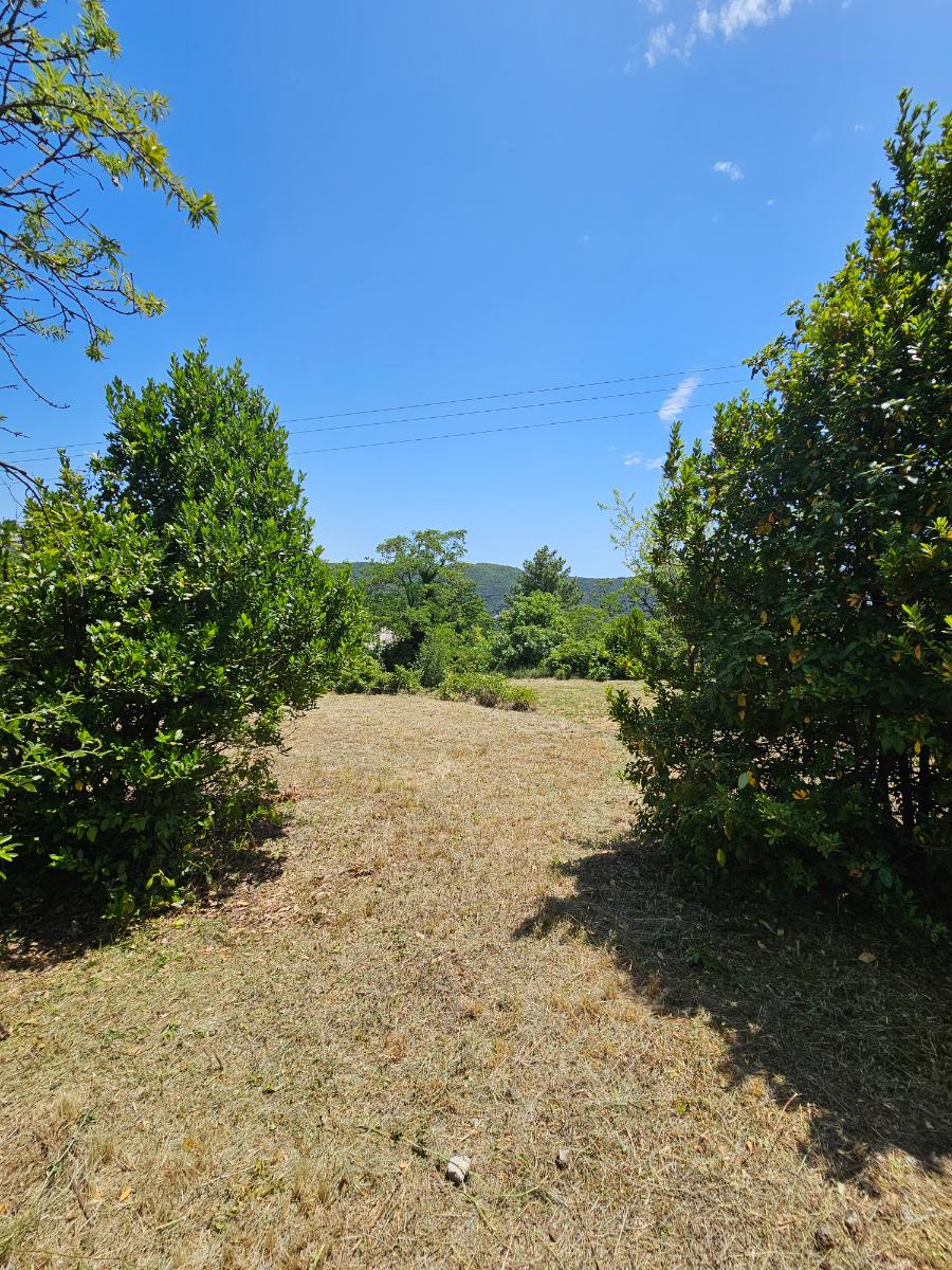 Chantier d'entretien de jardin réalisé par SOS Jardin 34, paysagiste du réseau Factotum, près de Le Bosc